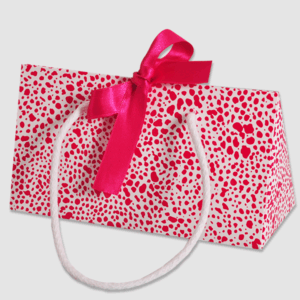 sac papier luxe cadeau