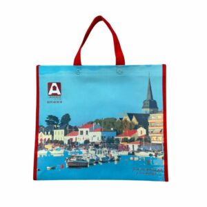 sac agence immobilière